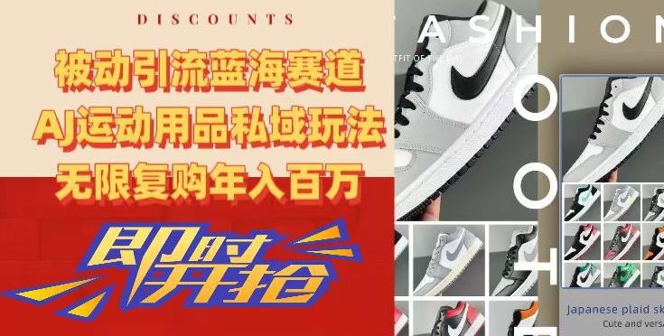 被动引流蓝海赛道，AJ运动用品私域玩法，无限复购年入百万【揭秘】-985网创