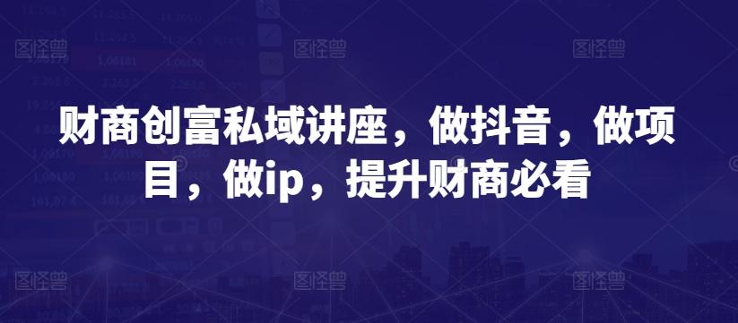 财商创富私域讲座，做抖音，做项目，做ip，提升财商必看-985网创