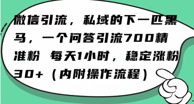 怎么搞精准创业粉？微信新赛道，每天一小时，利用Ai一个问答日引100精准粉-985网创