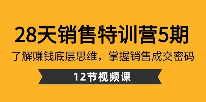 28天销售特训营5期：了解赚钱底层思维，掌握销售成交密码（12节课）-985网创