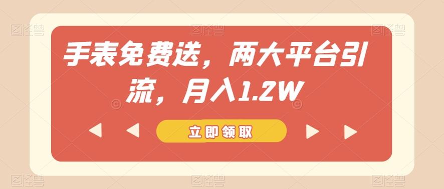 手表免费送，两大平台引流，月入1.2W【揭秘】-985网创