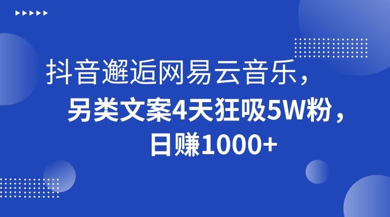 抖音邂逅网易云音乐，另类文案4天狂吸5W粉，日赚1000+【揭秘】-985网创
