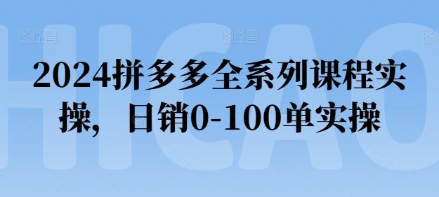 2024拼多多全系列课程实操，日销0-100单实操【必看】-985网创