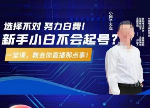 大左教您从0到1做直播带货，选择不对，努力白费，5小时课程搞定那点事，解决你起号问题-985网创