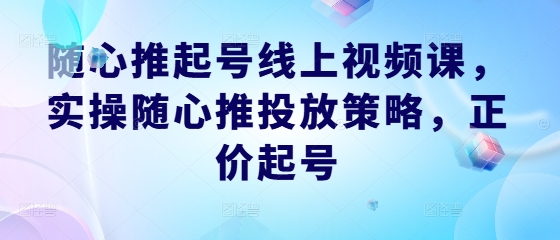 随心推起号线上视频课，实操随心推投放策略，正价起号-985网创