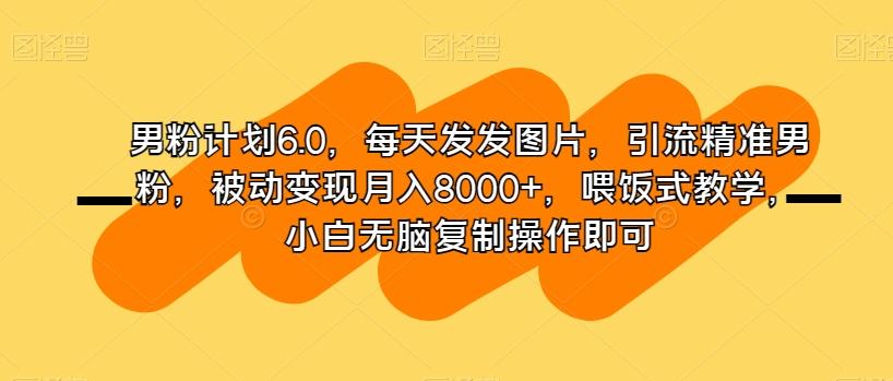 男粉计划6.0，每天发发图片，引流精准男粉，被动变现月入8000+，喂饭式教学，小白无脑复制操作即可-985网创