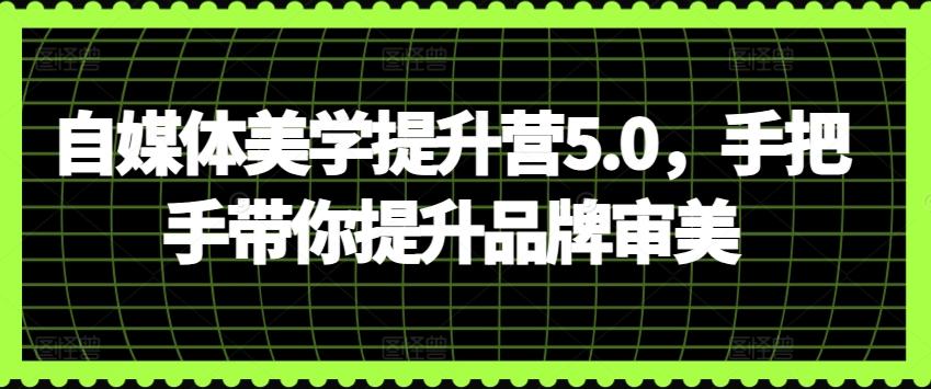 自媒体美学提升营5.0，手把手带你提升品牌审美-985网创