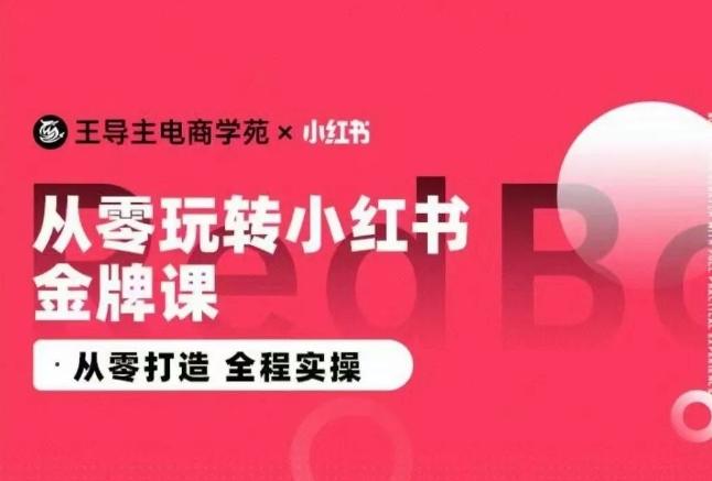 王导主·小红书电商运营实操课，​从零打造  全程实操-985网创