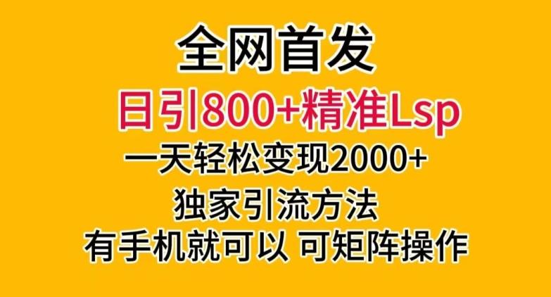 全网首发！日引800+精准老色批，一天变现2000+，独家引流方法，可矩阵操作【揭秘】-985网创