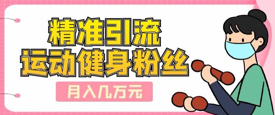 精准引流运动健身粉丝，轻松月入几万-985网创