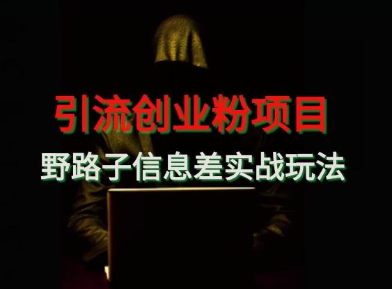 【引流创业粉】野路子信息差玩法实战教学-985网创