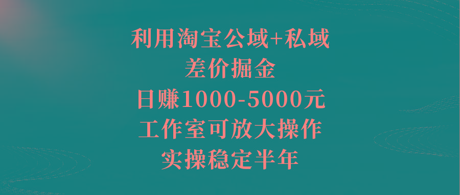 利用淘宝公域+私域差价掘金，日赚1000-5000元，工作室可放大操作，实操...-985网创