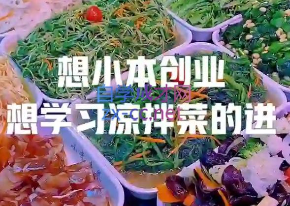 李记·精品凉拌菜系列热卤系列教程-985网创