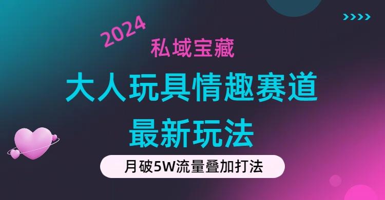 私域宝藏：大人玩具情趣赛道合规新玩法，零投入，私域超高流量成单率高-985网创