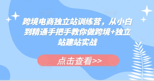跨境电商独立站训练营，从小白到精通手把手教你做跨境+独立站建站实战-985网创