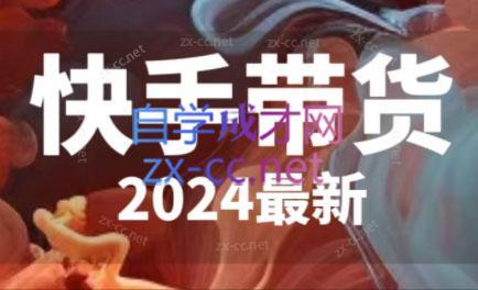 快手带货(2024最新)-985网创