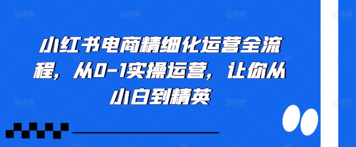 小红书电商精细化运营全流程，从0-1实操运营，让你从小白到精英-985网创