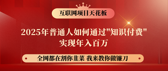 镰刀训练营超级IP合伙人，25年普通人如何通过“知识付费”年入百万！-985网创