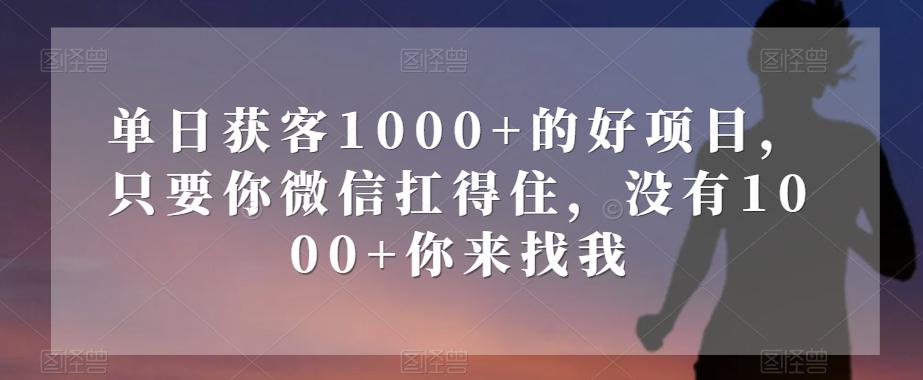 单日获客1000+的好项目，只要你微信扛得住，没有1000+你来找我【揭秘】-985网创
