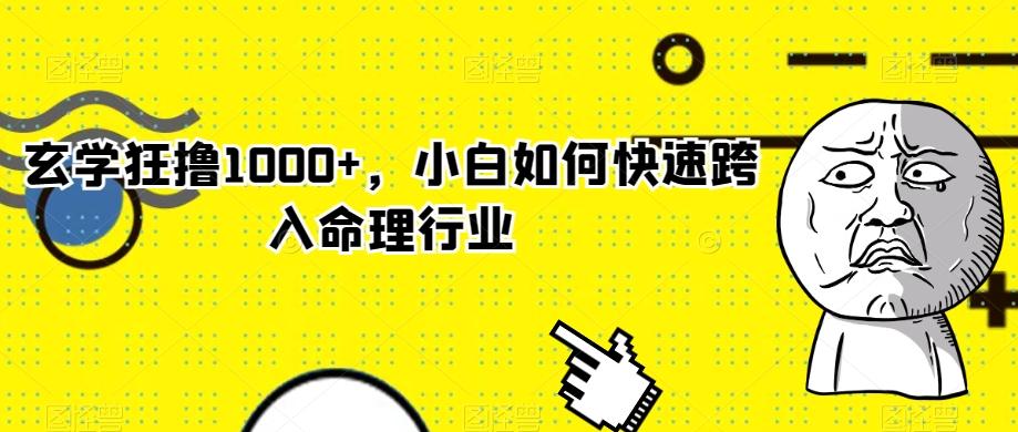 玄学狂撸1000+，小白如何快速跨入命理行业-985网创