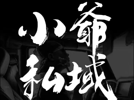 小爷·私域项目操盘手-985网创