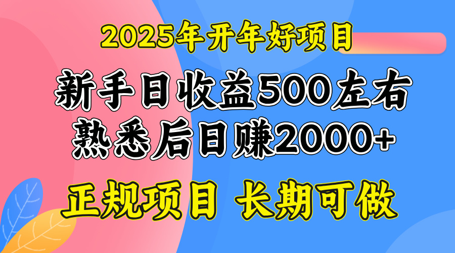 2025开年好项目，单号日收益2000左右-985网创