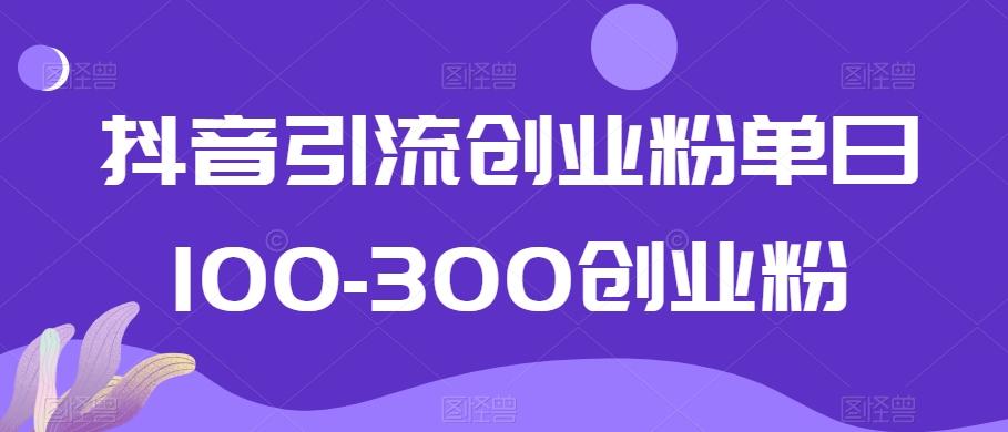抖音引流创业粉单日100-300创业粉【揭秘】-985网创