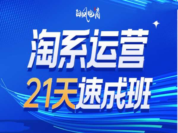 淘系运营21天速成班35期，年前最后一波和2025方向-985网创