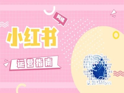 小红书运营指南，没有套路，全是经验-985网创