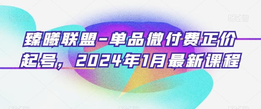 臻曦联盟-单品微付费正价起号，2024年1月最新课程-985网创