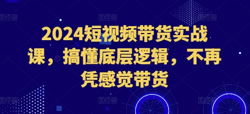 2024短视频带货实战课，搞懂底层逻辑，不再凭感觉带货-985网创
