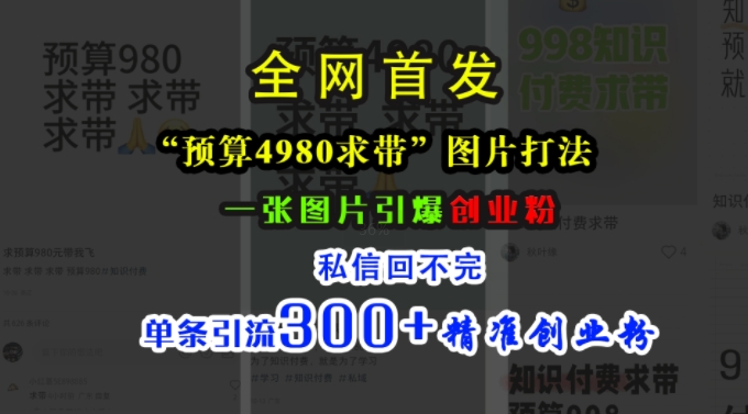 小红书“预算4980带我飞”图片打法，一张图片引爆创业粉，私信回不完，单条引流300+精准创业粉-985网创