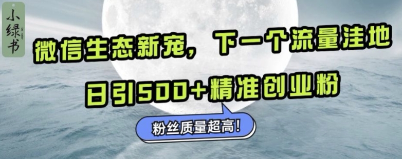 微信生态新宠小绿书：下一个流量洼地，日引500+精准创业粉，粉丝质量超高-985网创