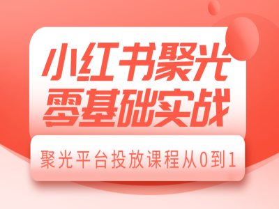 小红书聚光零基础实战，聚光平台投放课程从0到1-985网创