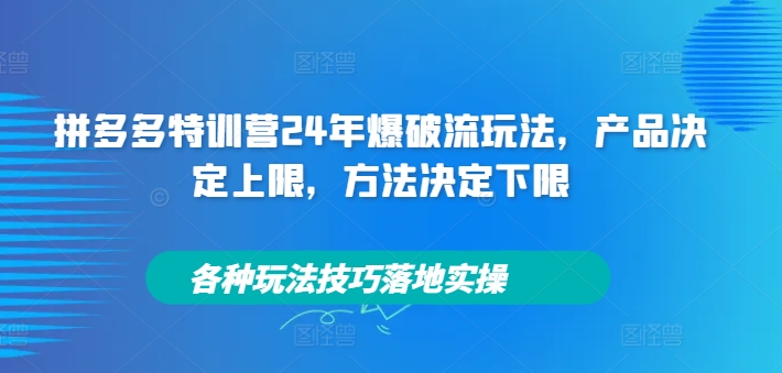 拼多多特训营24年爆破流玩法，产品决定上限，方法决定下限，各种玩法技巧落地实操-985网创