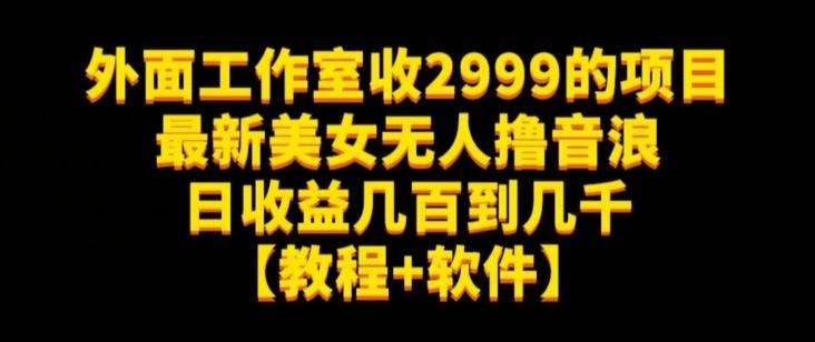 外面工作室收2999的项目最新美女无人撸音浪日收益几百到几千【教程+软件】（仅揭秘）-985网创
