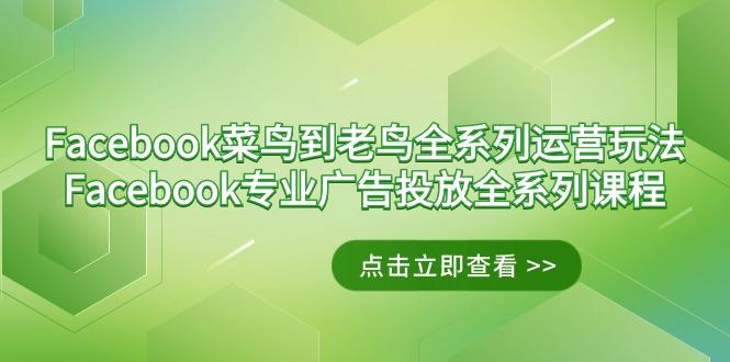 Facebook-菜鸟到老鸟全系列运营玩法+Facebook-专业广告投放全系列课程-985网创
