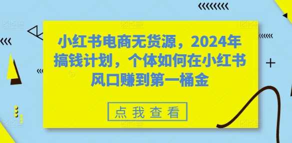 小红书电商无货源，2024年搞钱计划，个体如何在小红书风口赚到第一桶金-985网创