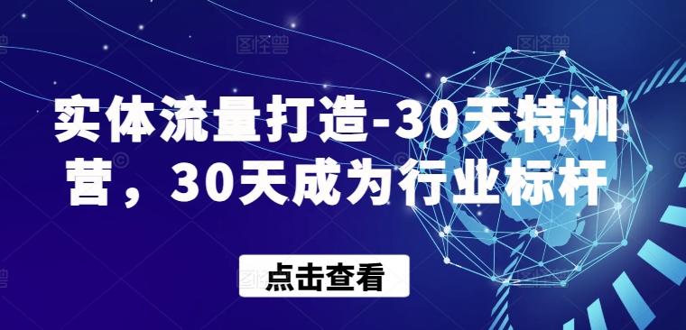 实体流量打造-30天特训营，30天成为行业标杆-985网创