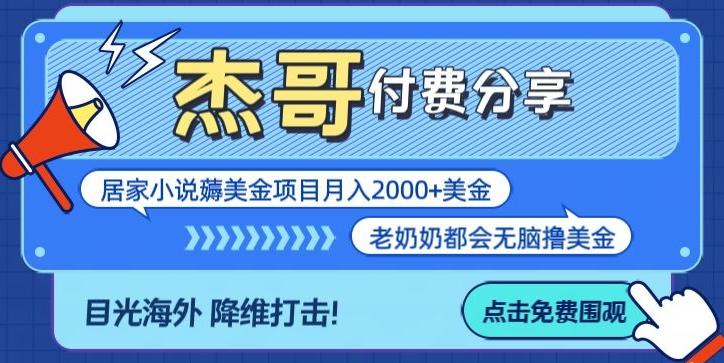 拆解海外撸美金项目月入2000美刀详细指导-985网创