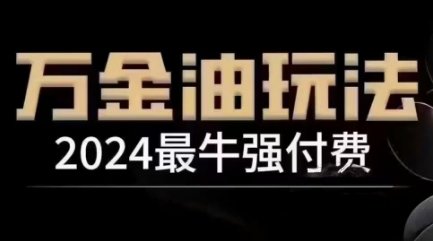 2024最牛强付费，万金油强付费玩法，干货满满，全程实操起飞(更新12月)-985网创