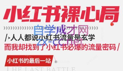 月月老师·小红书低粉高变现课-985网创