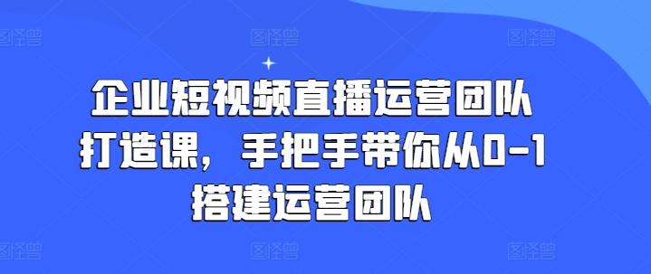 企业短视频直播运营团队打造课，手把手带你从0-1搭建运营团队-985网创