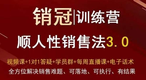 爆款！销冠训练营3.0之顺人性销售法，全方位解决销售难题、可落地、可执行、有结果-985网创