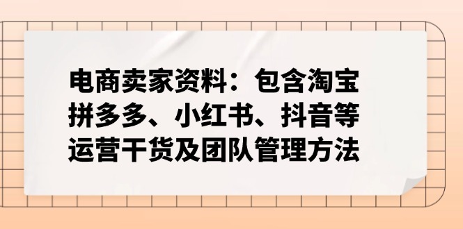 电商卖家资料：包含淘宝、拼多多、小红书、抖音等运营干货及团队管理方法-985网创