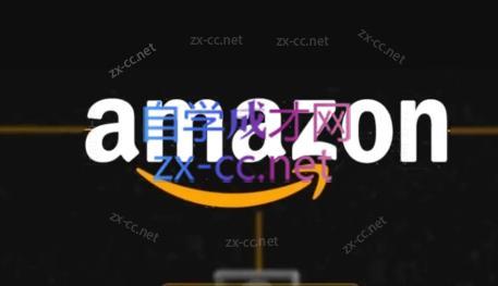 干干老师·亚马逊精细化广告详解-985网创