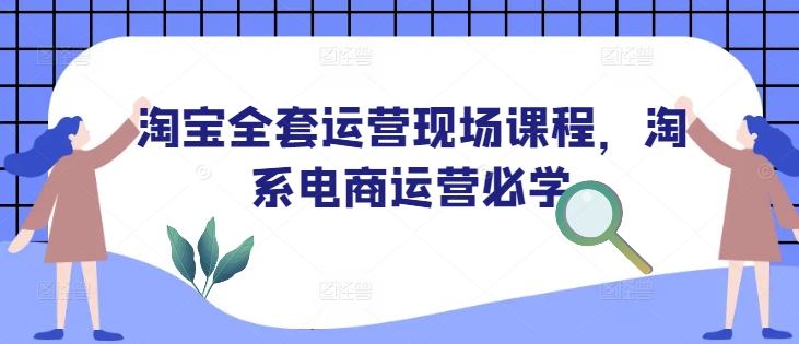 淘宝全套运营现场课程，淘系电商运营必学-985网创