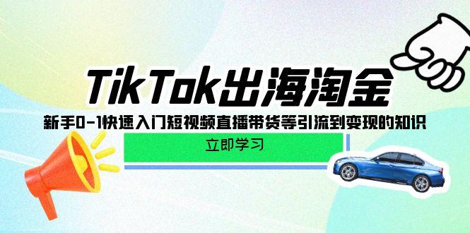 (10035期)TikTok-出海淘金，新手0-1快速入门短视频直播带货等引流到变现的知识-985网创