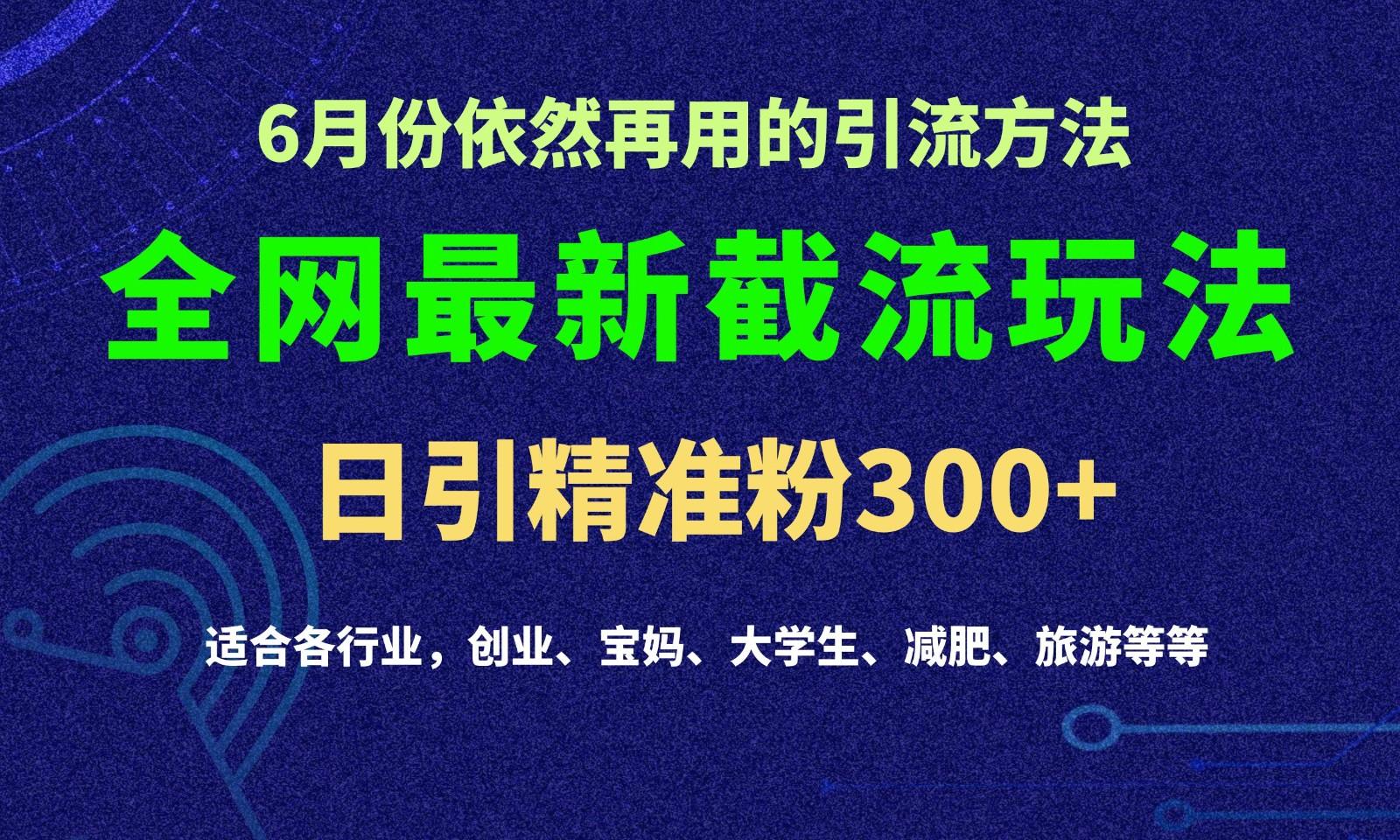 2024全网最新截留玩法，每日引流突破300+-985网创