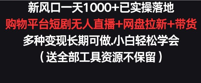新风口一天1000+已实操落地购物平台短剧无人直播+网盘拉新+带货多种变现长期可做【揭秘】-985网创